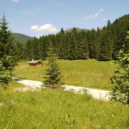 Seewiesenalm Reit im Winkl Exterior photo