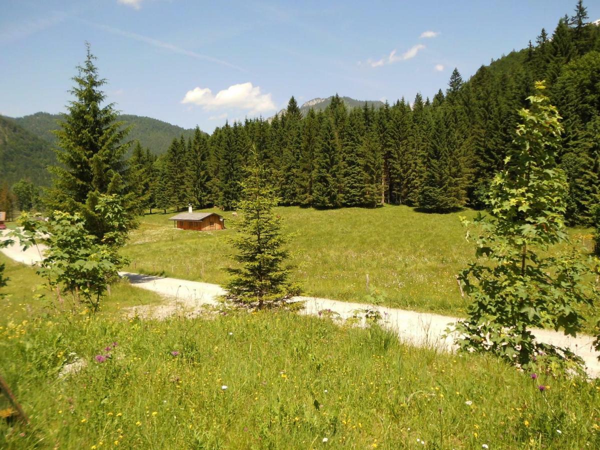 Seewiesenalm